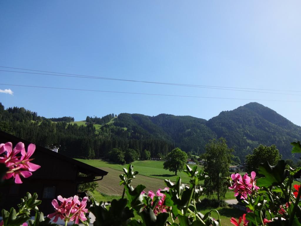 Appartement Haus Sylvia à Reith im Alpbachtal Chambre photo